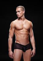 Мужские трусы Mesh Trunk , S/M