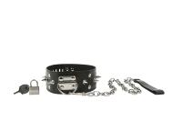 Ошейник с шипами и поводком