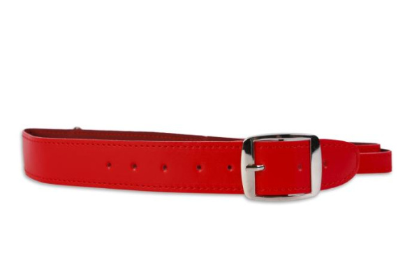 Узкий ошейник с поводком, красный